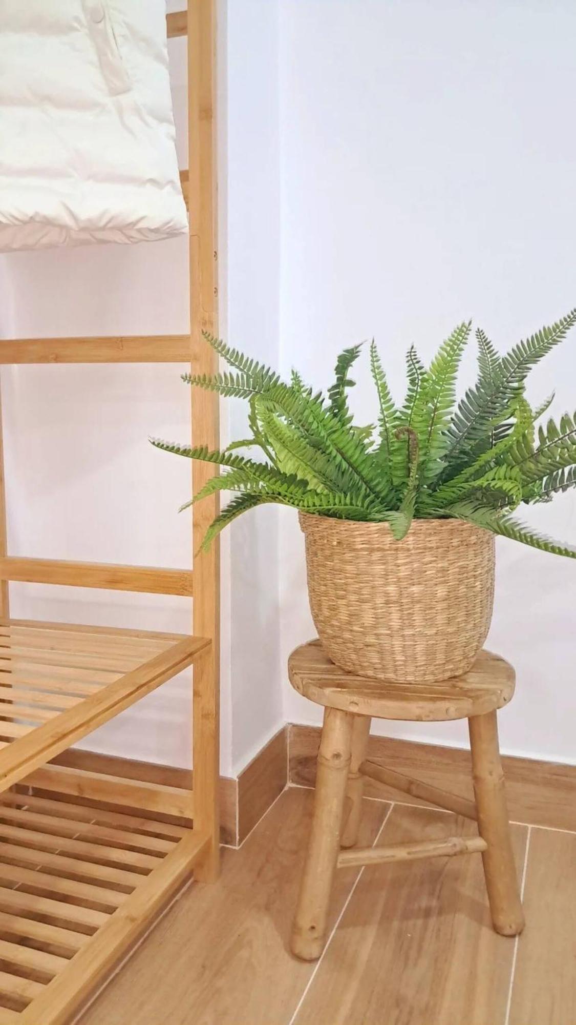 Coffee & Calm Triana Apartment 塞维利亚 外观 照片